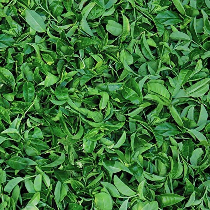 St. Ives Clarifying Facial Cleanser: Deep Clean & Purify Skin - Image 2