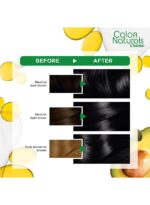 Garnier Color Naturals Permanent Hair Dye - Black Noir (112ml) - Image 2