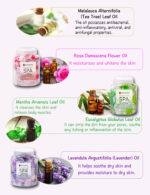 Hd12360e7ef66468bb590ada28715c80fx